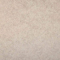 Ковролин Tapisom 600 Beige - 600 416002009 00032 фото 1 | FLOORDEALER